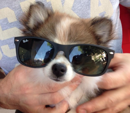 MUY GUAPO CON SUS LENTES!